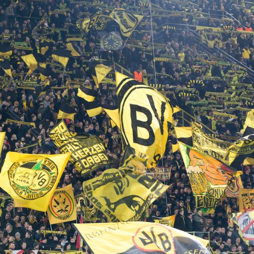 Transmisja online meczu Borussia Dortmund – FSV Mainz – gdzie oglądać?